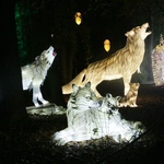 Lumina park
