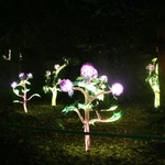 Lumina park