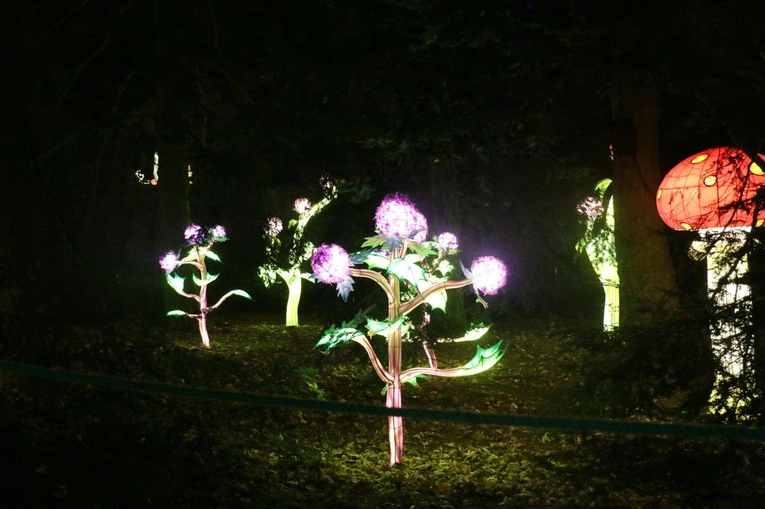 Lumina park