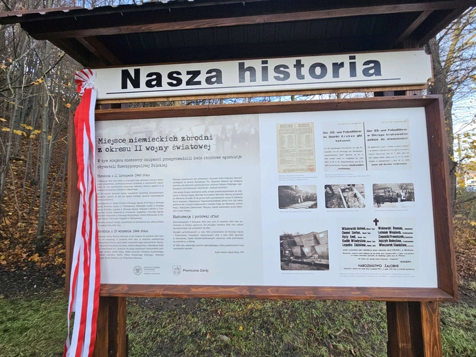 Spisana historia młodowska