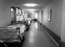 Organizacje aborcyjne głównym beneficjentem ustawy o depenalizacji aborcji?