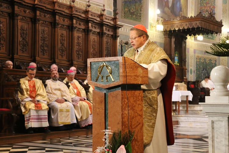 Płock. Inauguracja roku jubileuszowego. Część I