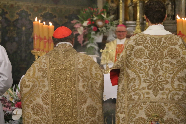 Płock. Inauguracja roku jubileuszowego. Część II