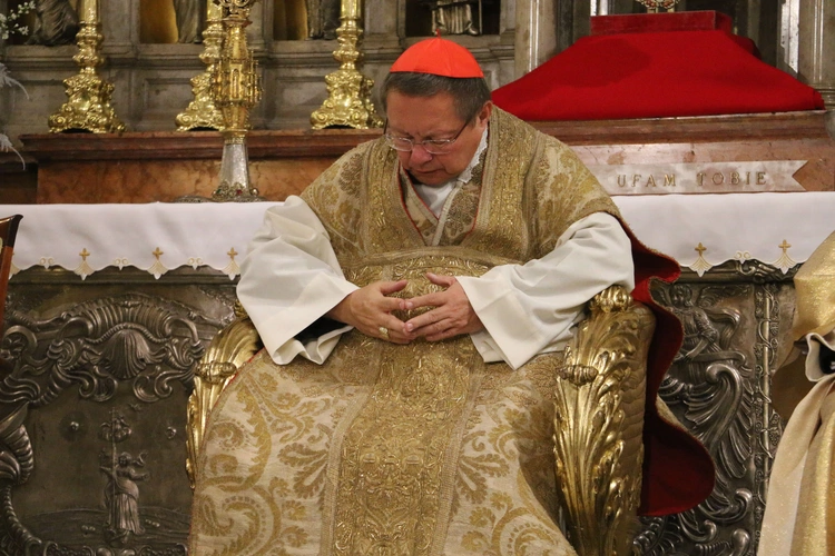 Płock. Inauguracja roku jubileuszowego. Część II