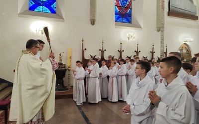 52 nowych lektorów