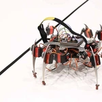Krakowski festiwal robotów 2024