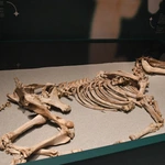 Narodziny królestwa