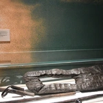 Narodziny królestwa