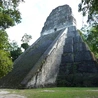 Piramida w Tikal