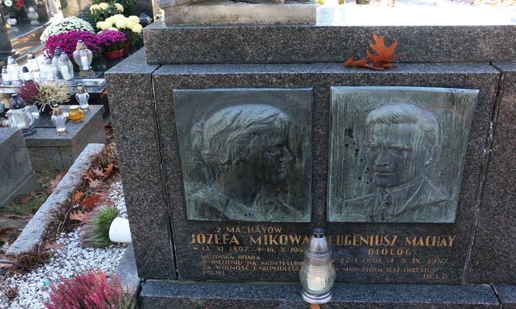 Szpary między płytami i odgięta tablica prof. Eugeniusza Machaya.