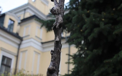 Od sanktuarium Madonna della Corona pod Wawel. Niezwykły krzyż na dziedzińcu krakowskiej kurii