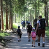 Rodzina drogą człowieka, Kościoła i społeczeństwa.