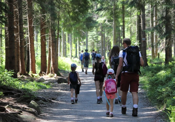 Rodzina drogą człowieka, Kościoła i społeczeństwa.