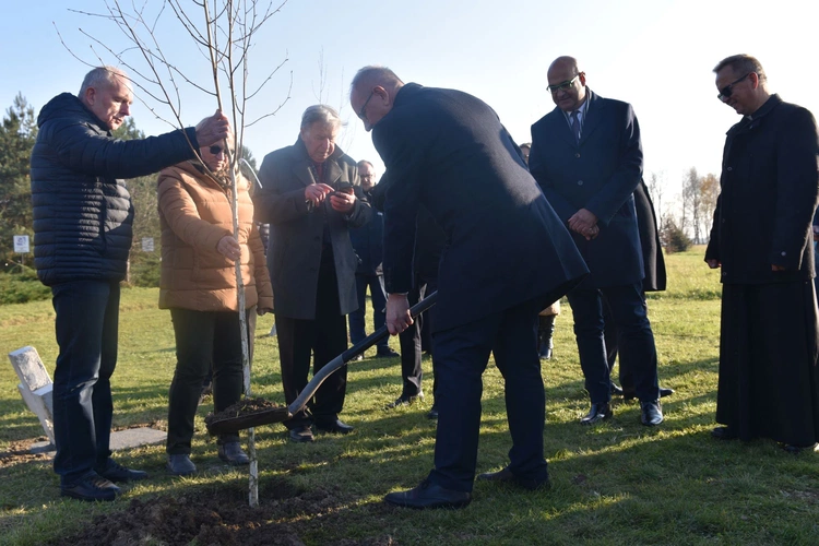 Światowy Dzień Pamięci Ofiar Wypadków Drogowych - Zabawa 2024