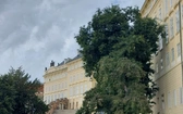 Praga