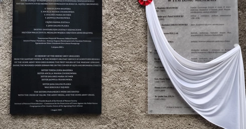Mieszkańcy Szarego Domu