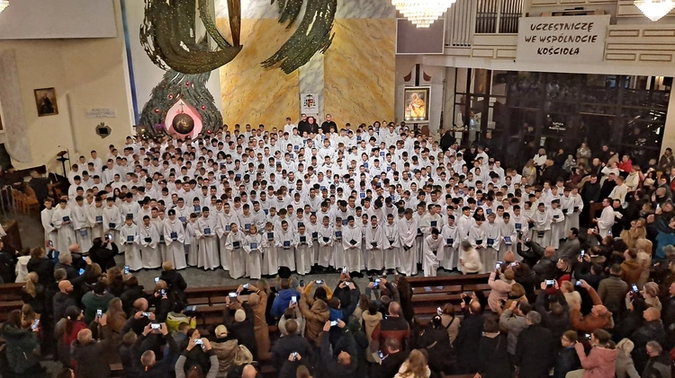 450 nowych lektorów w komplecie.