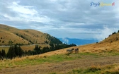 Rumunia