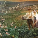 Niewinność i kapusta