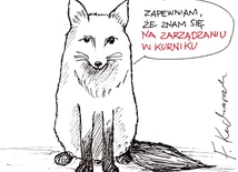 Taka prowokacja