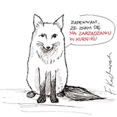 Taka prowokacja