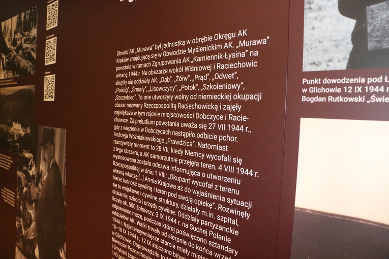 Wystawa w Muzeum AK o rzeczpospolitych partyzanckich