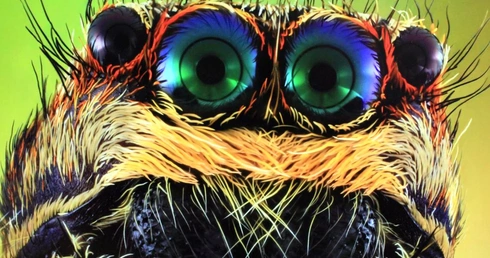 Fotografia jest wszędzie. Wystawa dla dzieci i dorosłych