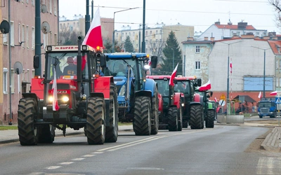 Podobnie jak w czasie lutowej manifestacji rolników jej przyczyną jest sprzeciw wobec polityki UE.