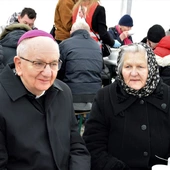Brak tytułu