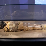 Muzeum archidiecezjalne we Wrocławiu w nowej odsłonie