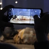 Muzeum archidiecezjalne we Wrocławiu w nowej odsłonie