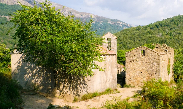 Korsyka
