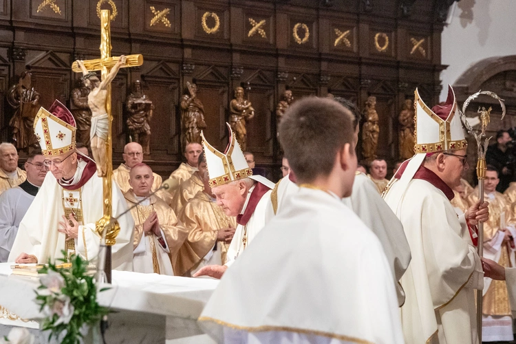 Ingres abp. Adriana Galbasa SAC, cz. I