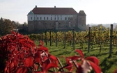 Sandomierz miasto położone na 7 wzgórzach