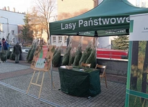 Katowice. Akcja “Choinka dla Życia”