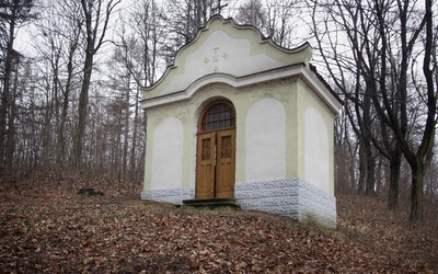 Od Matki Uśmiechniętej do Matki Bolesnej. Z modlitwą na Pszowskiej Kalwarii