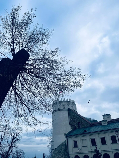 Przemyśl