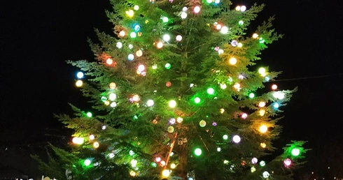 Choinka przy Franciszkańskiej 2024