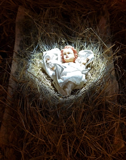 Płońsk. Szopka bożonarodzeniowa w parafii pw. św. Michała Archanioła (detal)
