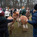 "Sto lat, Jezu!" - wydarzenie ewangelizacyjne w gdańskim Brętowie