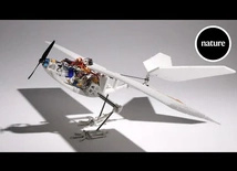 Watch this bird-inspired robotic drone leap into the air