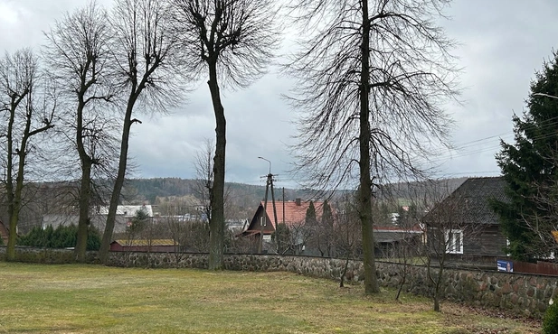 W Krynkach