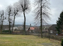 W Krynkach