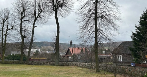W Krynkach