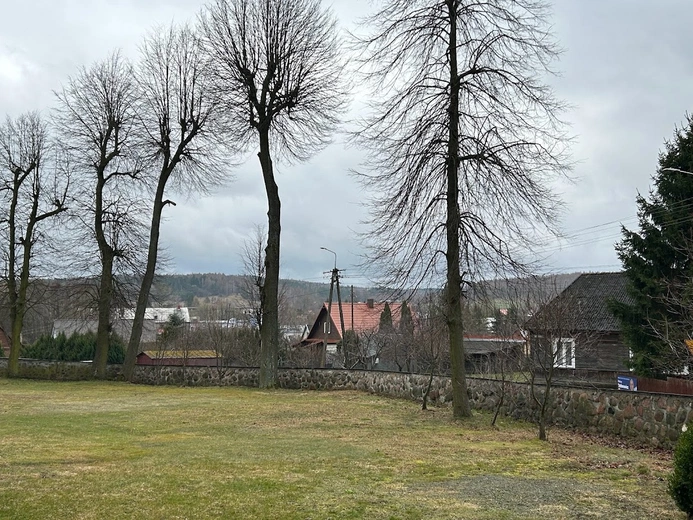 W Krynkach