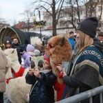 Orszak Trzech Króli w Dębicy