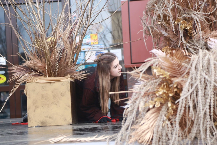 Orszak Trzech Króli w Dębicy