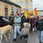 Orszak Trzech Króli 2025 - Sochaczew