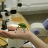 Nadchodzi Noc Biologów