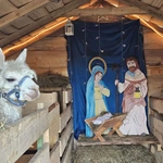 Żywa szopka w Niedźwiedzy